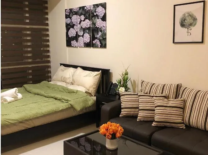 Brand New: Cozy Unit In Shaw With A View Manille